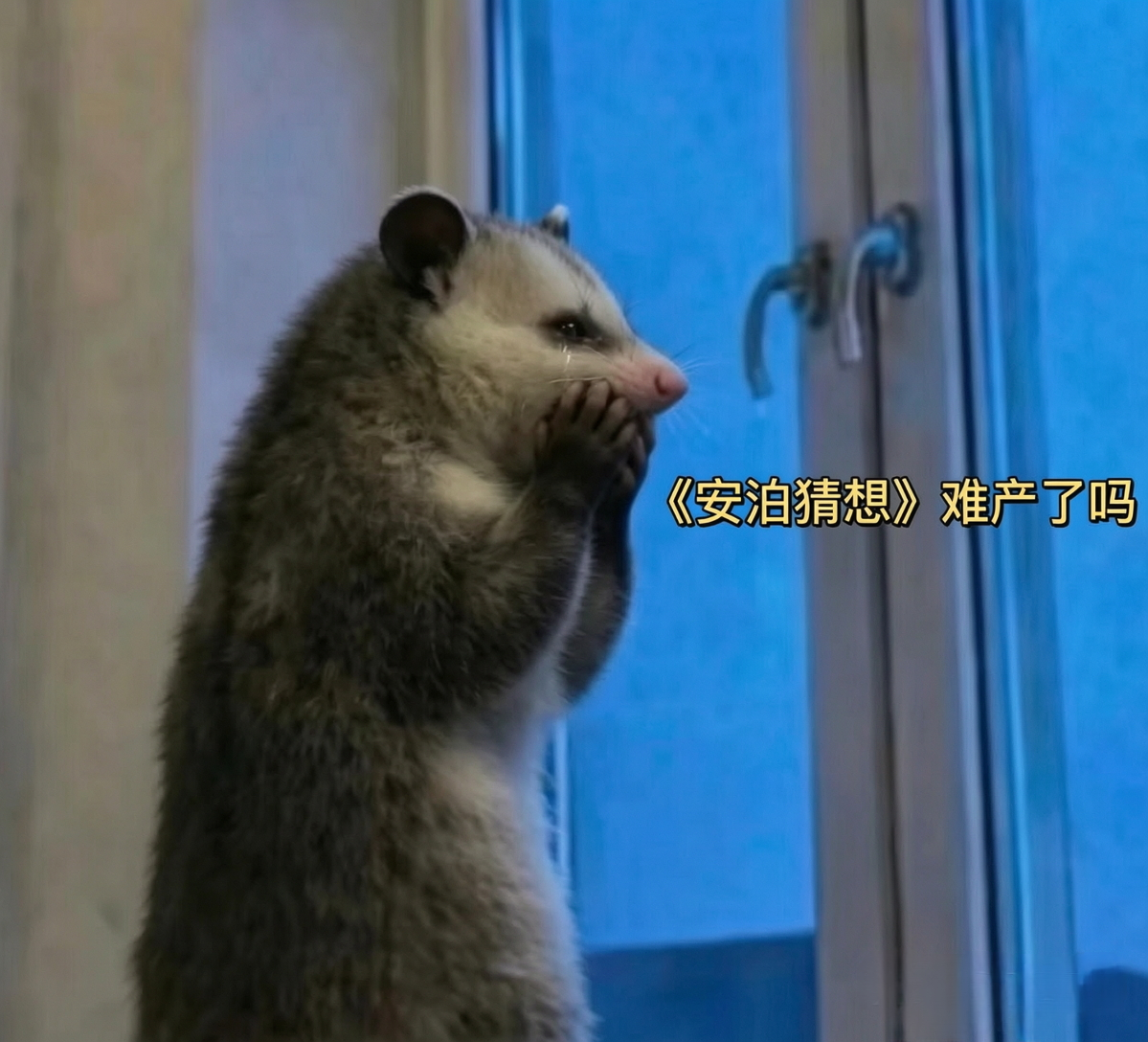 小九还没出生嘛《安泊猜想》 