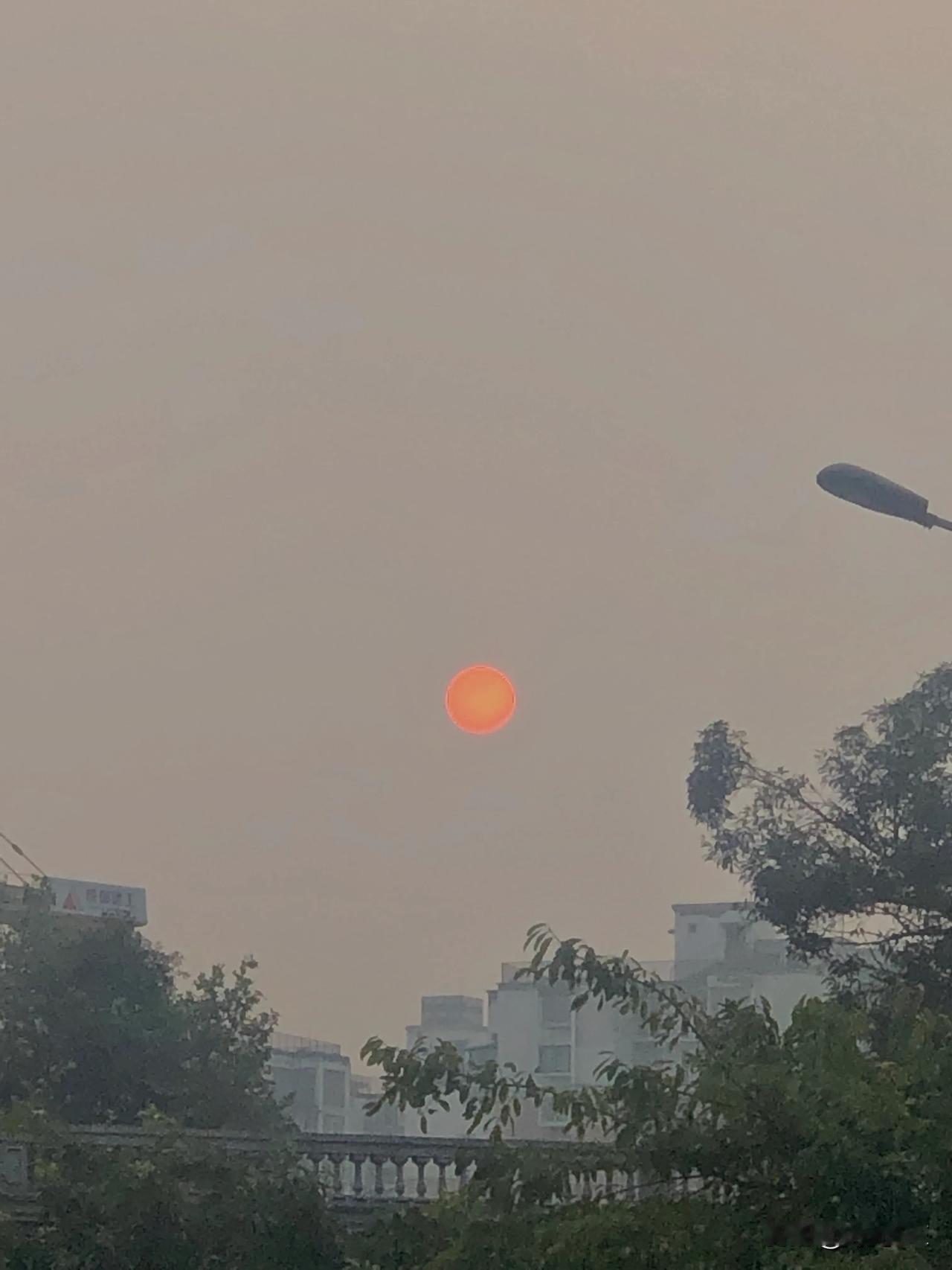 此时此刻一轮红日当空照，你们看见了没！