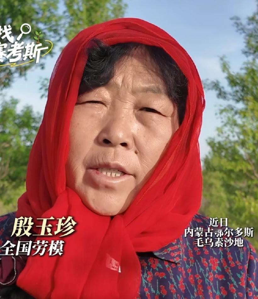 女农民殷玉珍治沙40年被世界赞叹。
北大毕业北大副校长任羽中被判刑8年。
唯学历