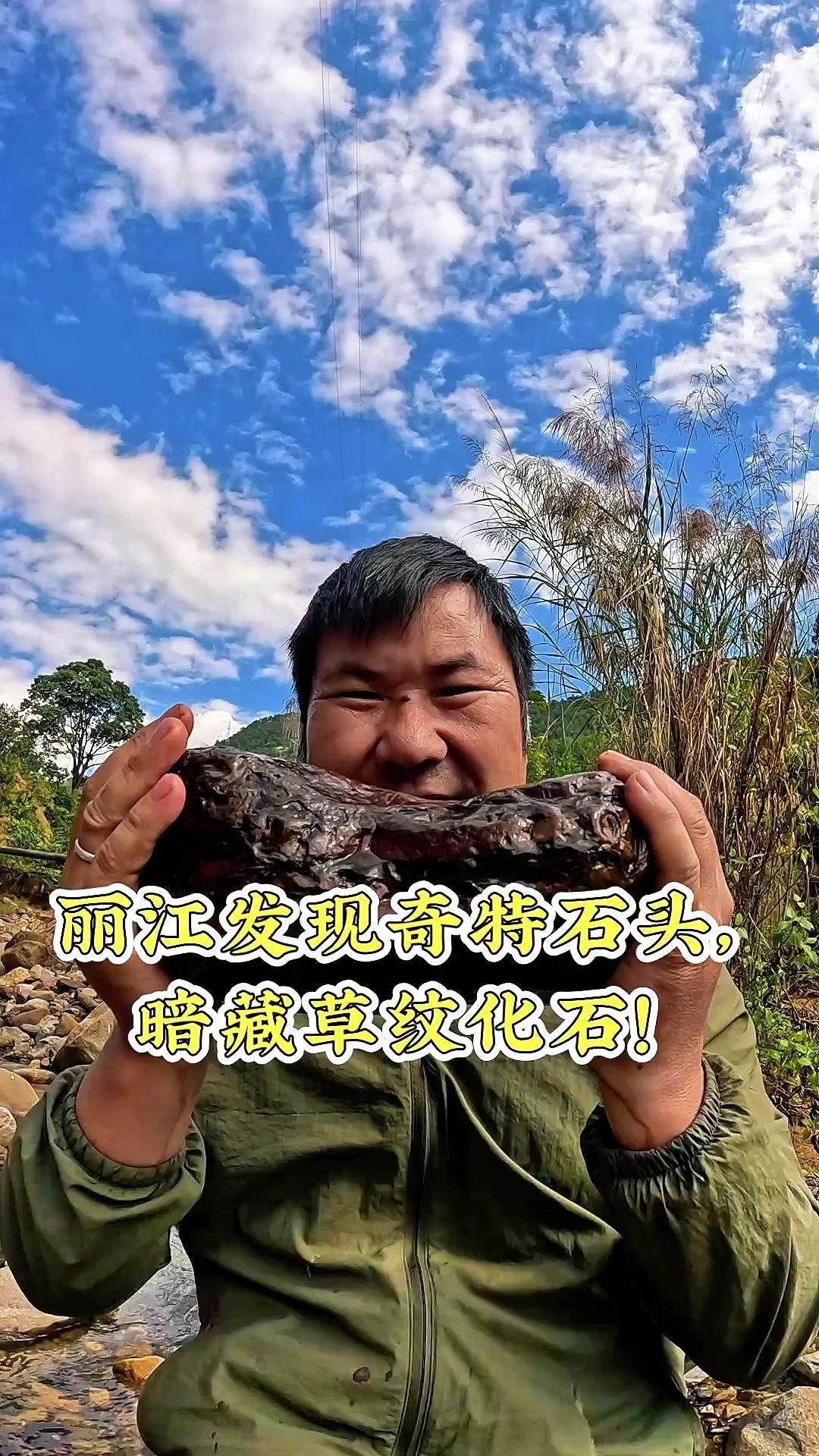 丽江发现草纹奇石！在村里闲逛时发现这块石头，花纹特别奇怪。凑近些看，上面的印记像