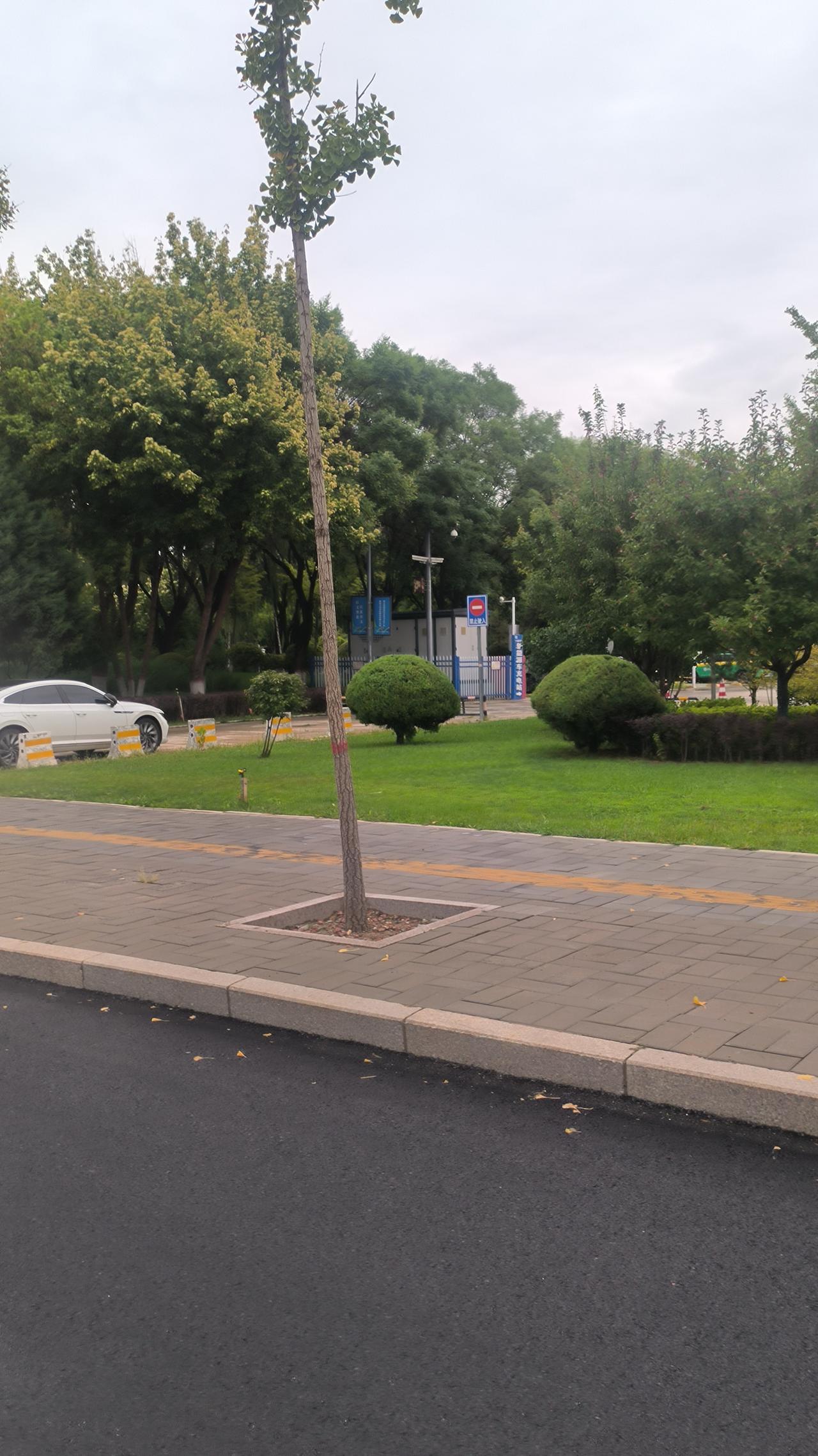 生命在于珍惜和保养，科学的饮食与锻炼，积极的心态等。
我从事生命研究几十年了，总