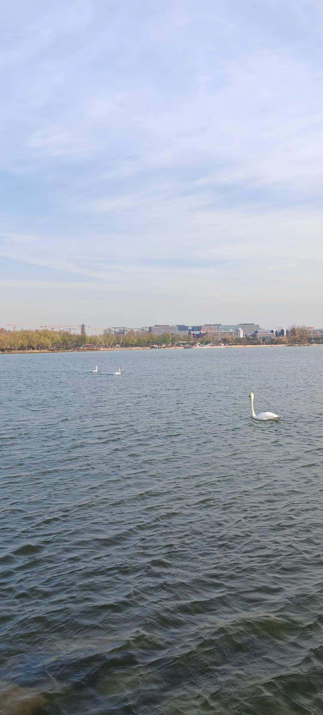 随拍 图文热点来了 登上山顶看美景 随手一拍都是美景 大自然的美无处不在