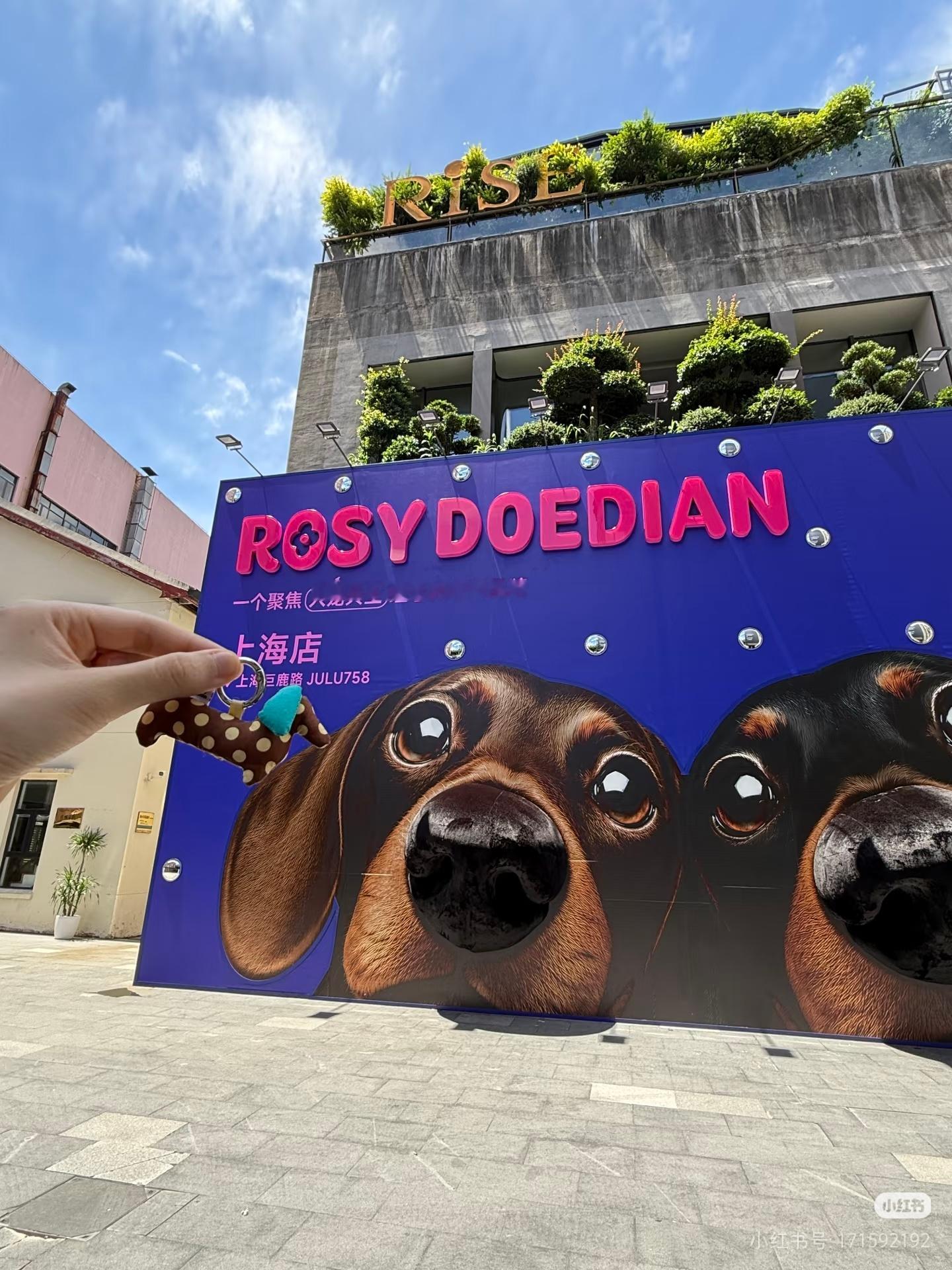 原来RDS实体店外面Doe和点点的鼻子是可以摸的感觉会被摸得油光水亮的('ω')