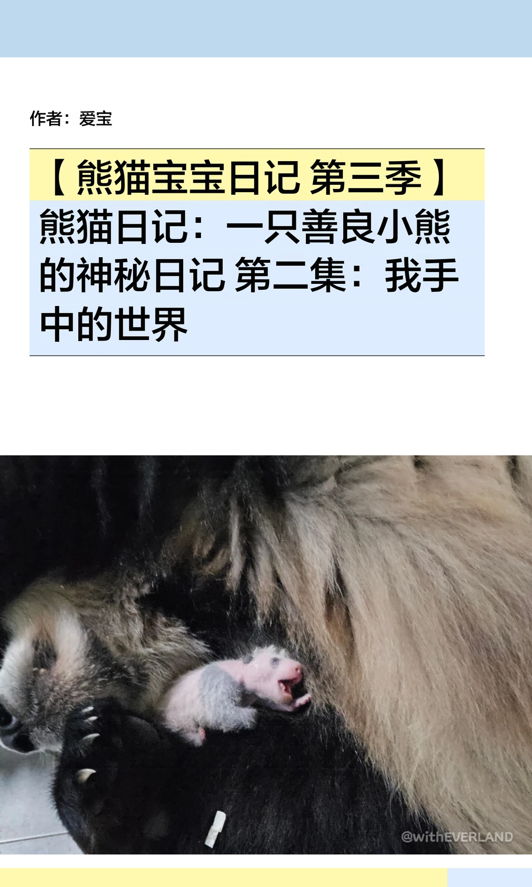 熊猫日记：一只善良小熊的神秘日记