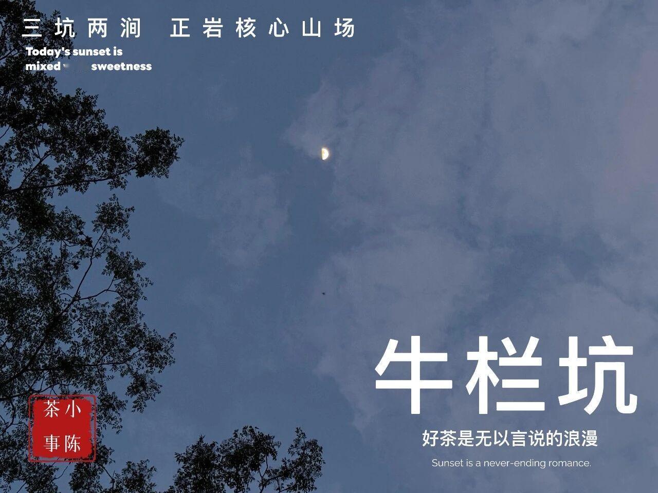 牛栏坑就那么大，为什么牛肉都卖不完？
牛栏坑的面积有限，每年的茶叶产量大概在15