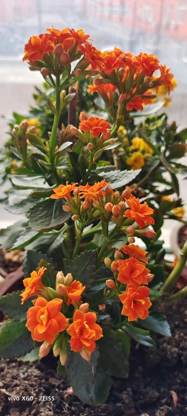 周末的午后，我总爱寻一处没人的角落——可能是小区里藏在竹林后的石凳，也可能是公园