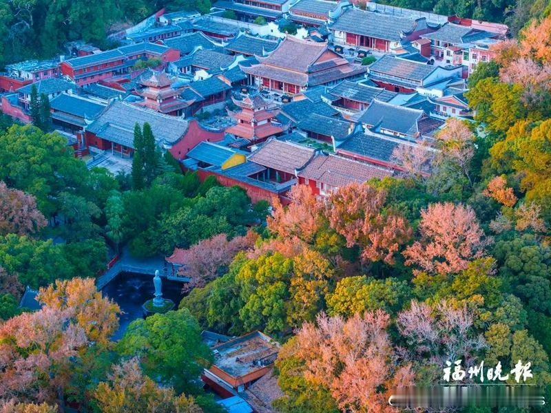 【鼓岭缤纷赏叶季 观景乐游正当时】

12月的鼓岭，迎来了一年中最缤纷的赏叶季。