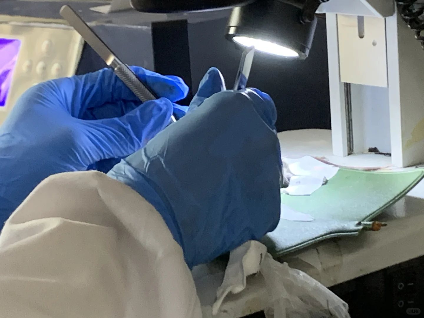 在老师指导下课题永远结束不了