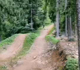 狗：好像谁不会飞似的[捂脸][捂脸][捂脸]
#傻狗奔你而来# #这狗子被带偏了