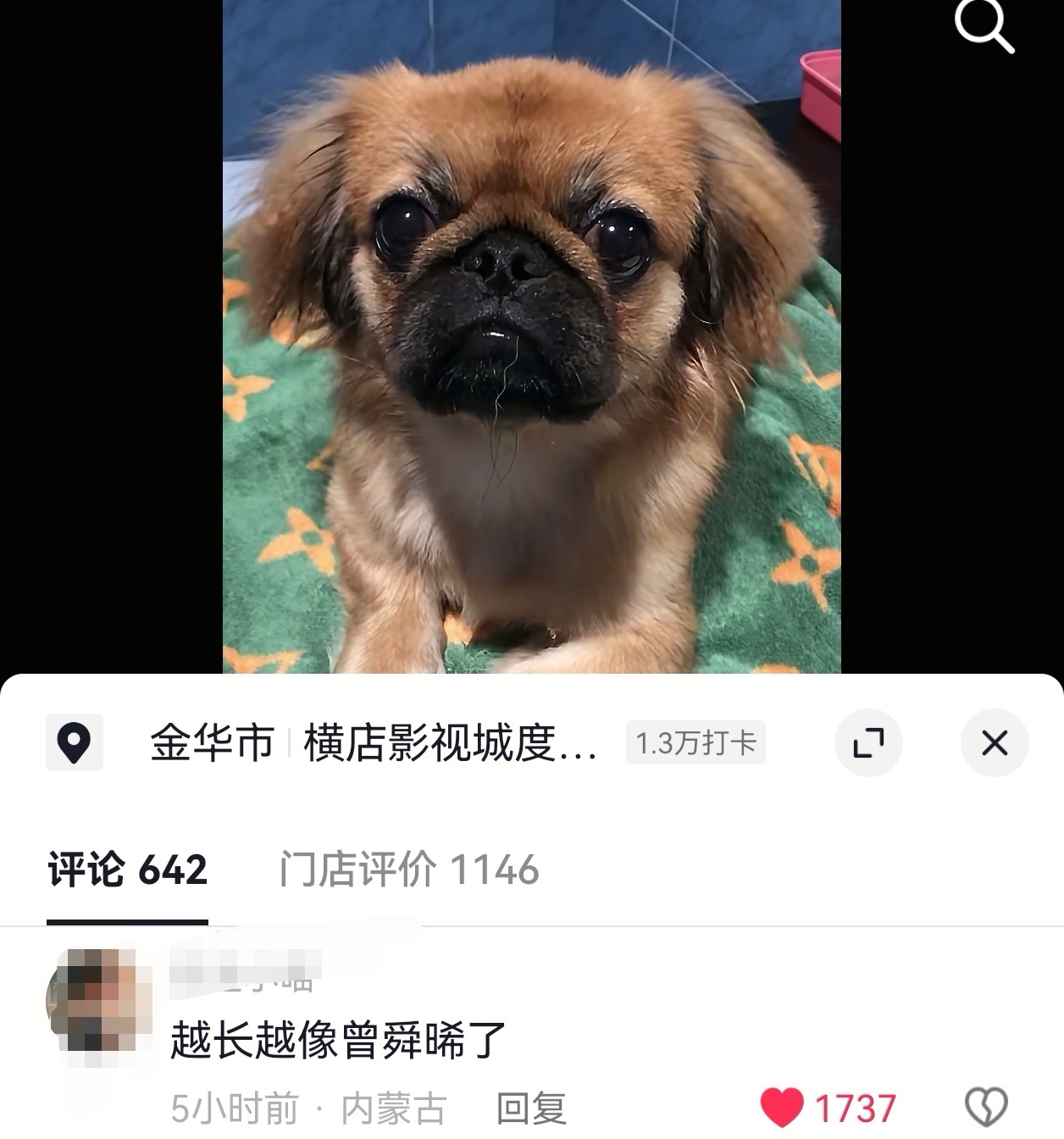 到底谁允许你们这么说的