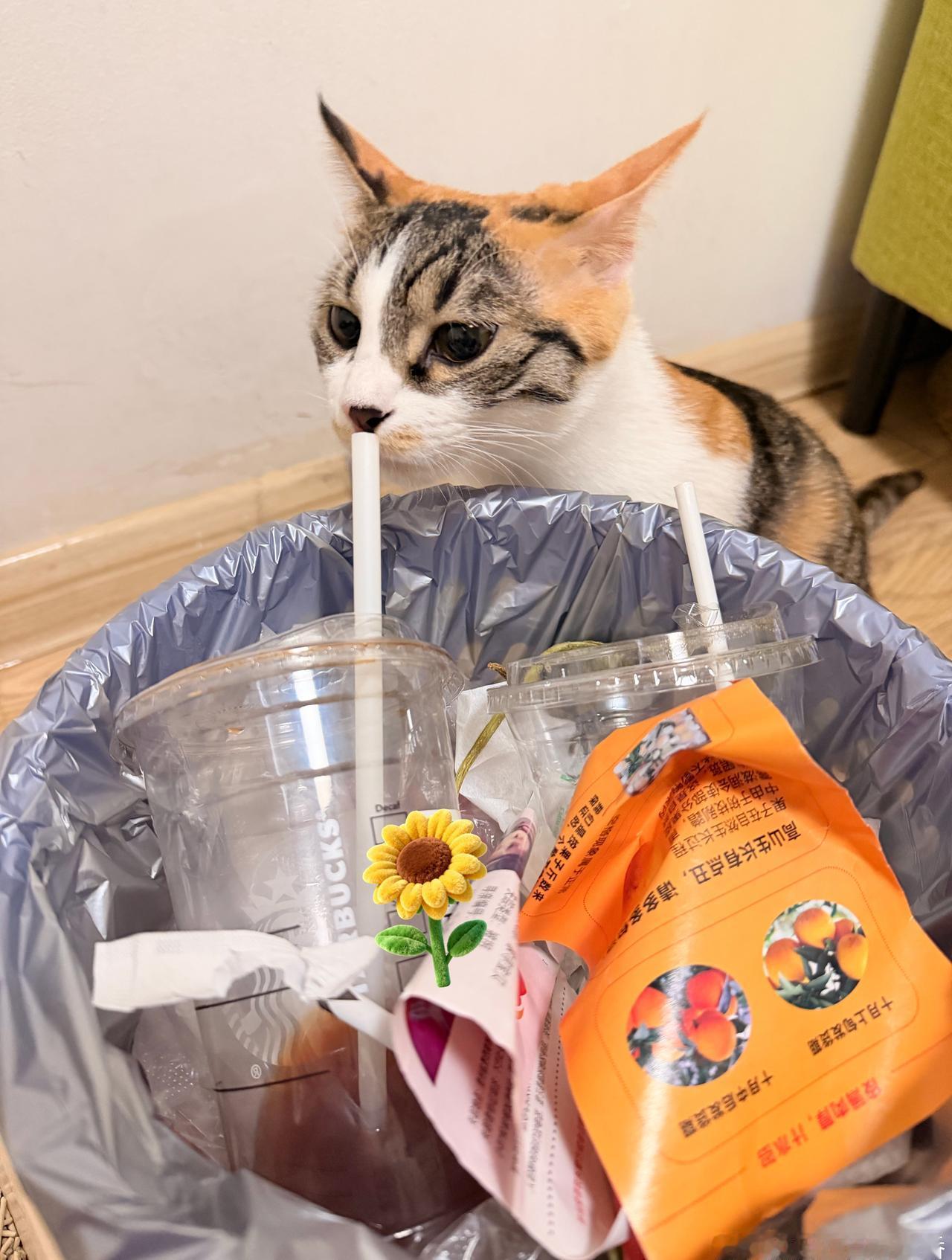 二妈，我闻闻你今天喝了什么…… ​​​