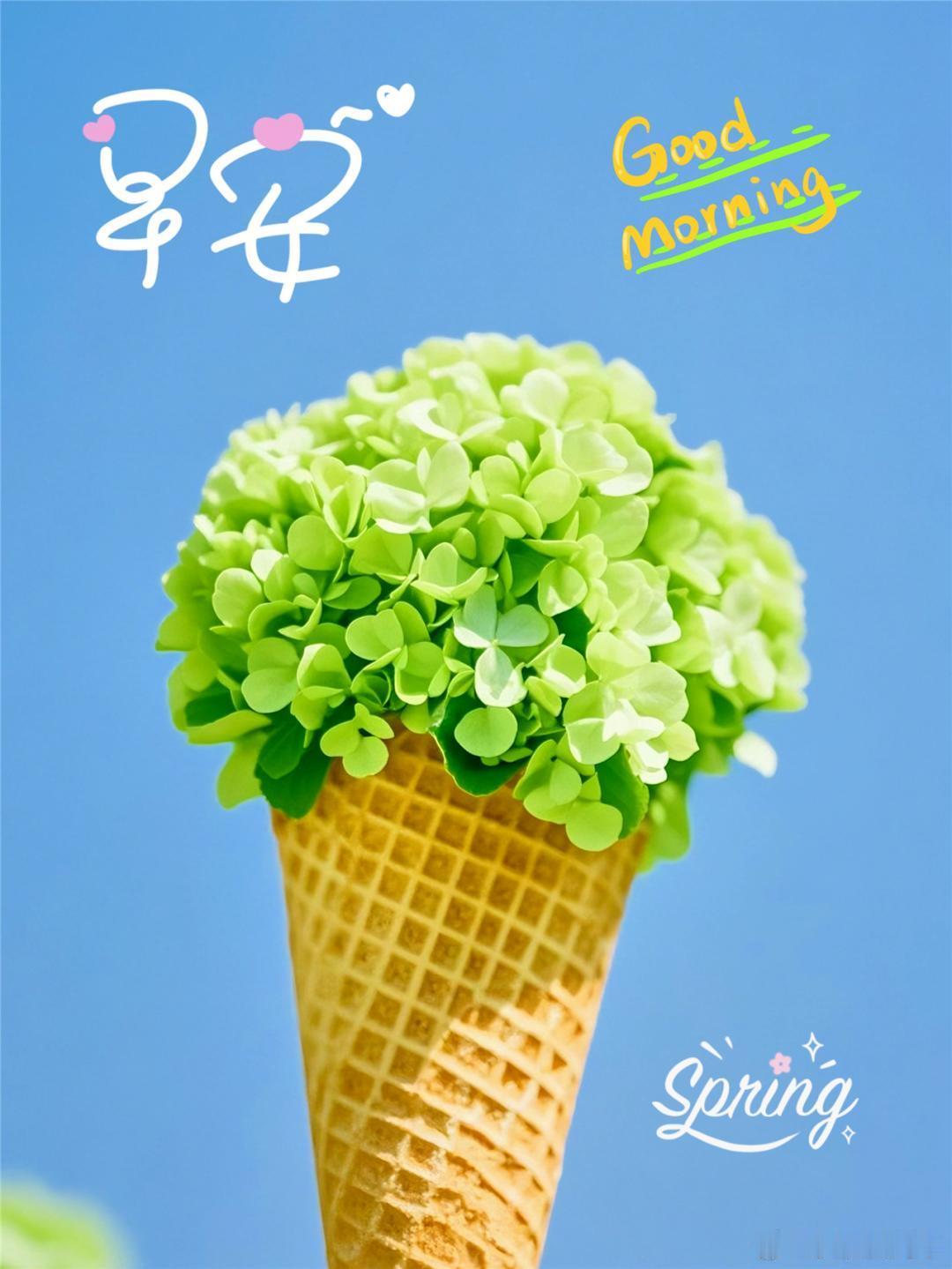 早安 顺其自然，万事皆安，美好的清晨如约来临。夏日的绿意越来越浓，愿你卸下心头的
