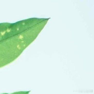 全校第一个生娃的00后清华女大情感热点创作激励计划当高学历与校园生育撞在一起，舆