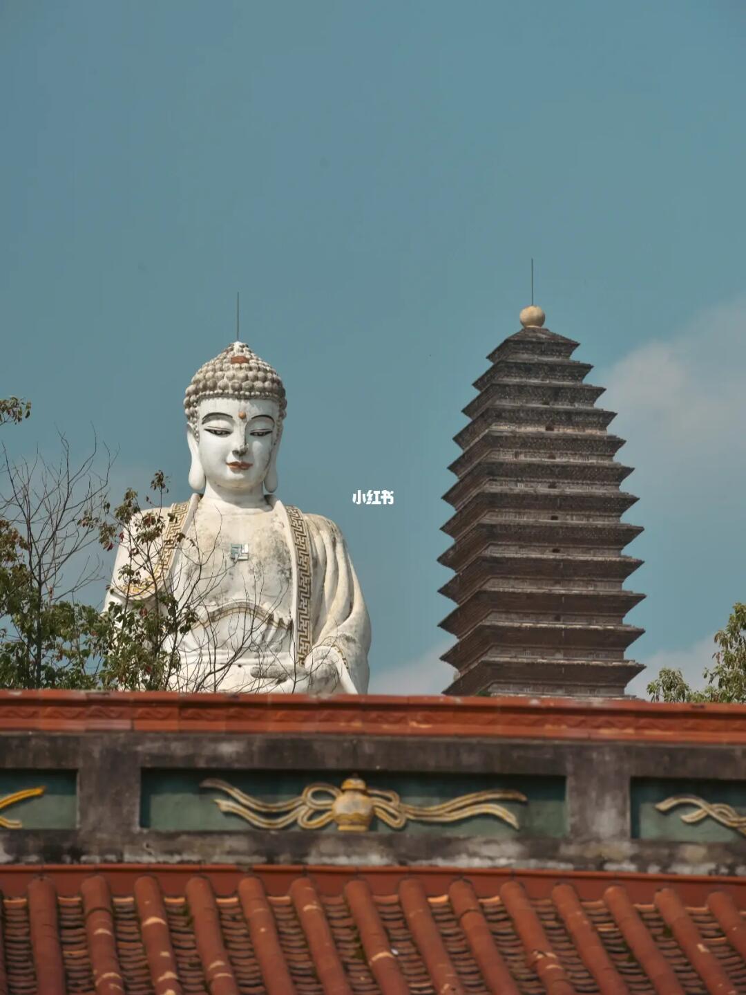 国内唯一观音道场，成都1.5h小众古寺