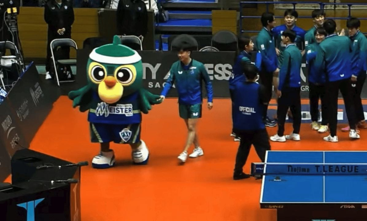 ☁️和木下绿鸟牵手🤝 