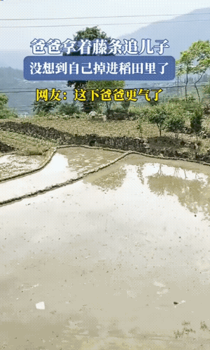 小男孩本想转身拉一把，一看他爹爹势头还不对，还是赶紧跑吧。
不过，这个挨打可能是