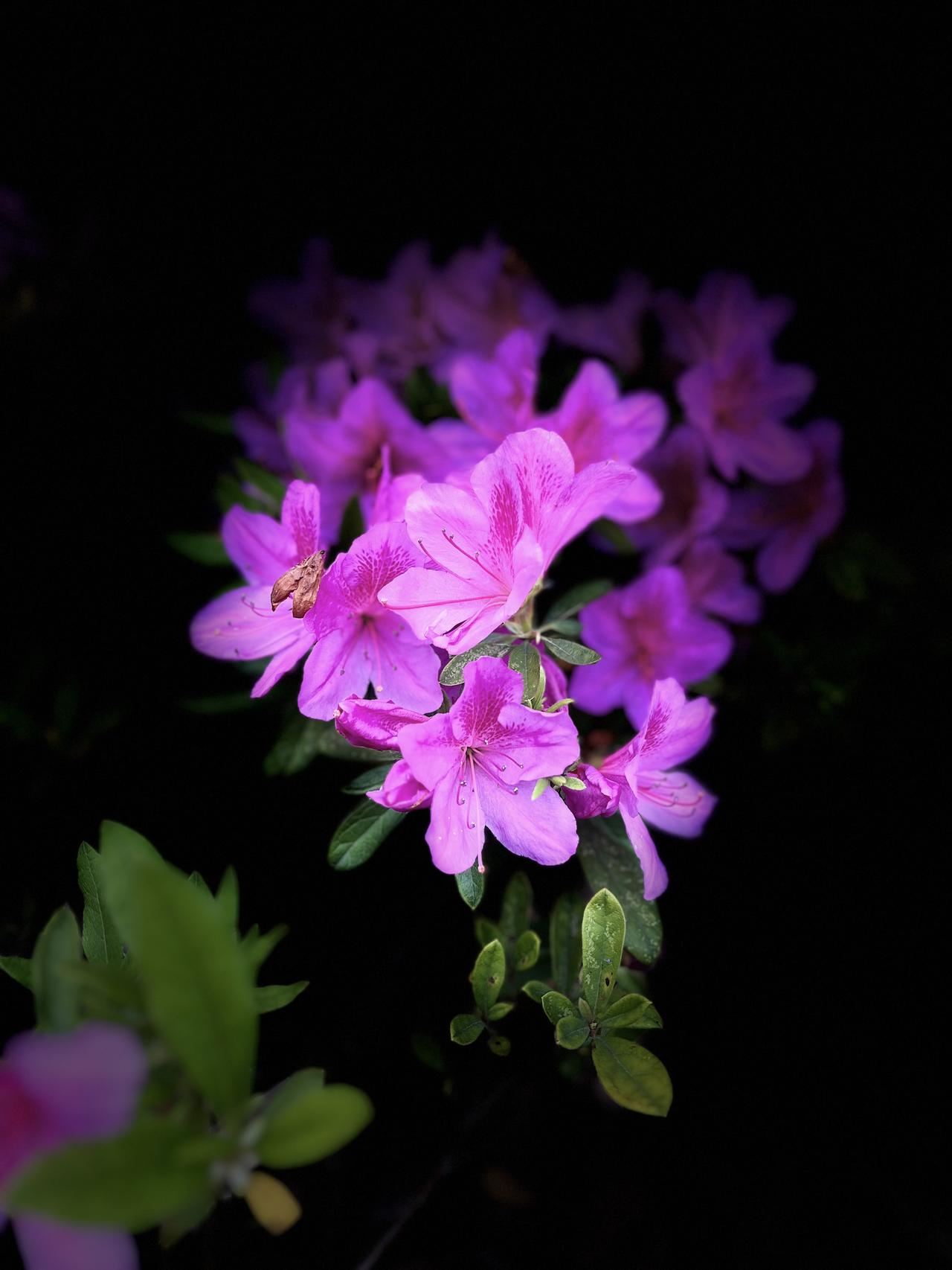 最好的养生：有时候不是吃出来的，是情绪得不到释放

别再往嘴里塞药片了，身体垮掉