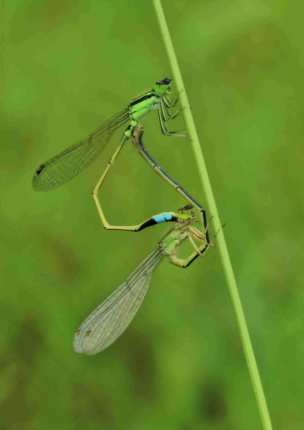 我的今日状态：😁轻松愉快
我这里的天气：☀️晴天