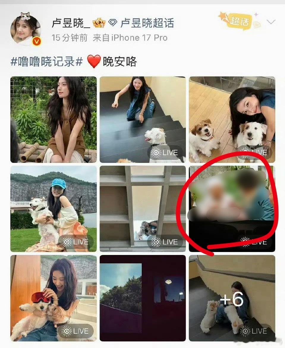 卢昱晓道歉因为日常晒的照片，里面有一张是《给阿嬤的情书》屏摄，被网友说是盗摄。作