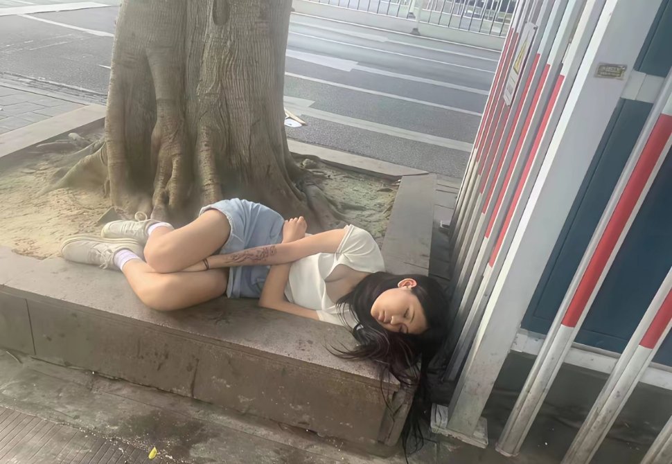 路边看到的，我想收留她，可以吗？ 