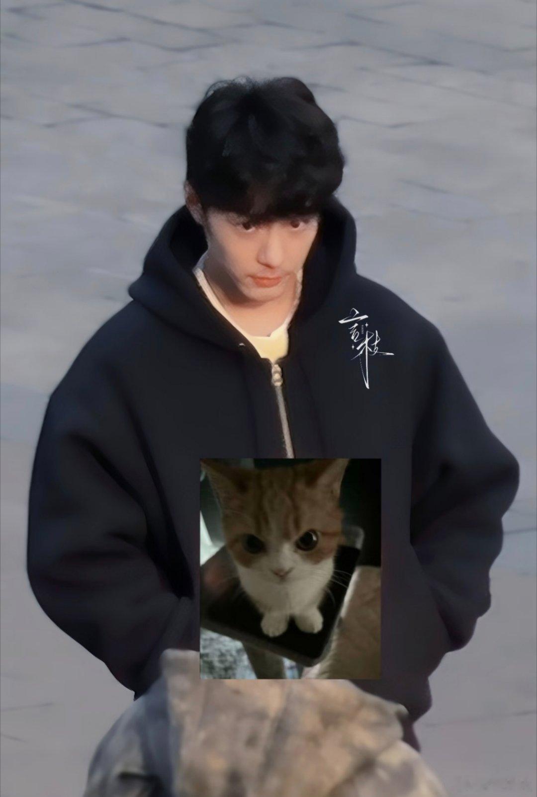 完全是大眼睛可爱萌猫   cr.logo 肖战  xz 肖战小城良方快拍完了