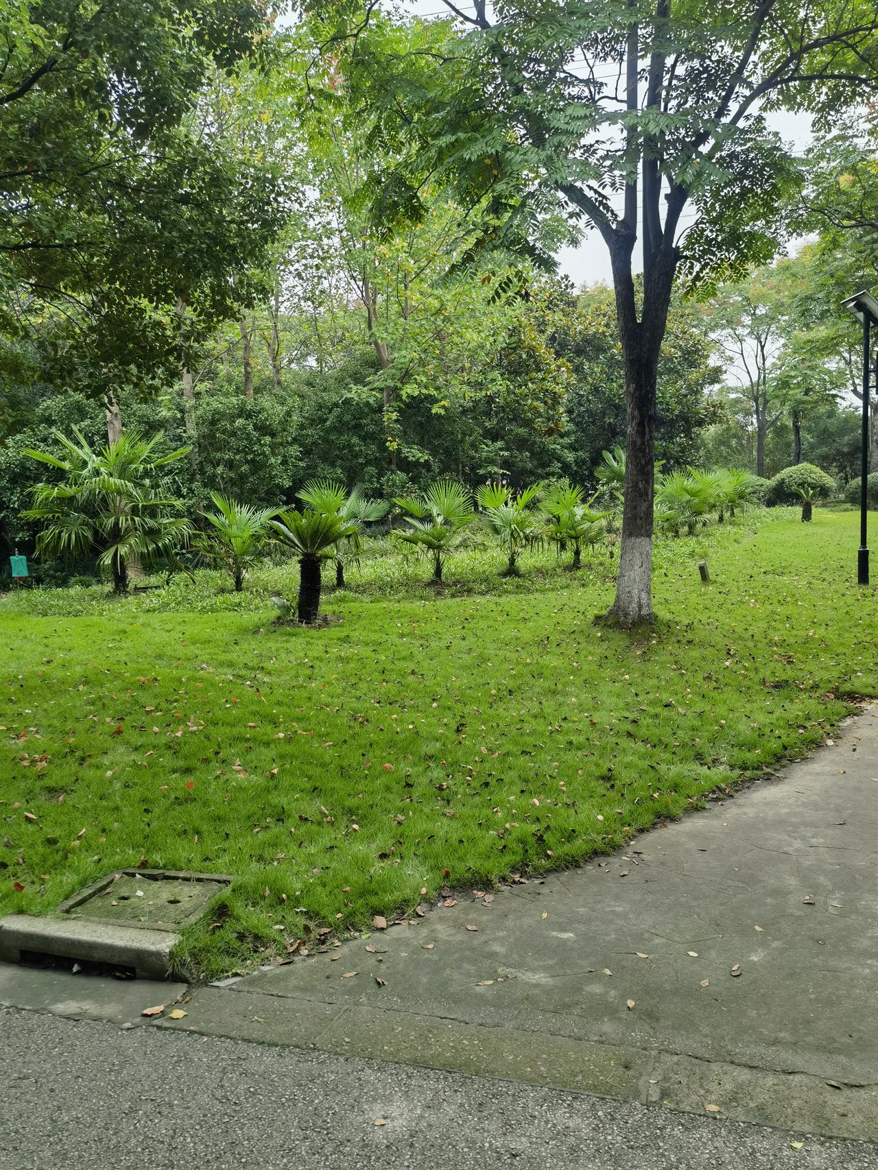 昨天我遇到一个亲戚，他是开出租车的，工龄40年，退休了，说是退休金7800元，我