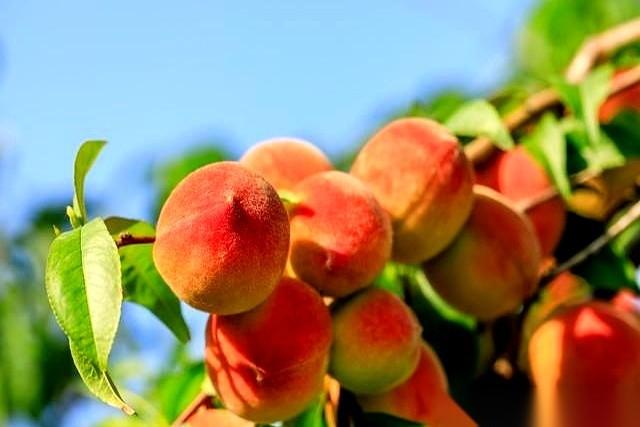 都说房价崩了，你倒是去一线城市核心地段看看啊？
楼龄新点的，七八万还是底线，十万