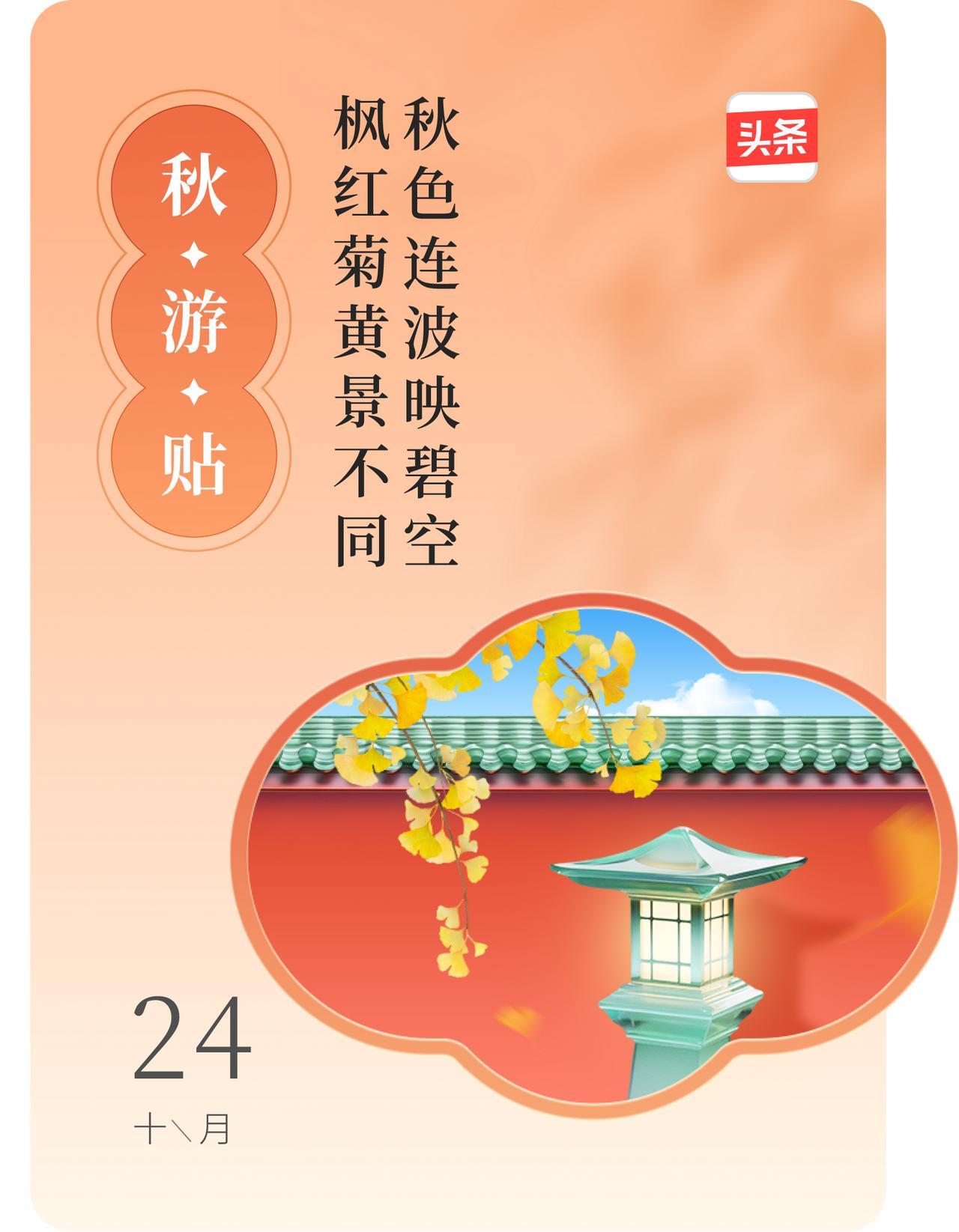 #赏秋意#秋日花窗分享：秋色连波映碧空，枫红菊黄景不同。

天冷了，不秋游了。就