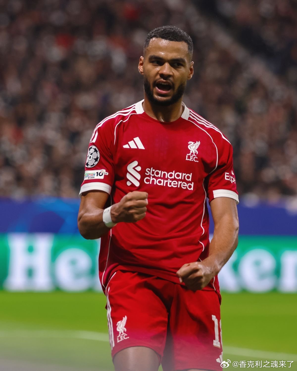 被识破的加克波前利物浦后卫沃诺克： 一旦加克波拿球，我就知道他要做什么。他目前非