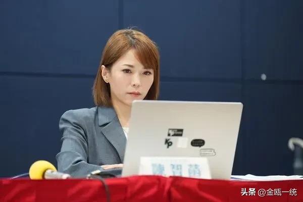 指端木正多次认“会计师可合法调节”   陈智菡：民众党受害还被质疑

陈智菡13