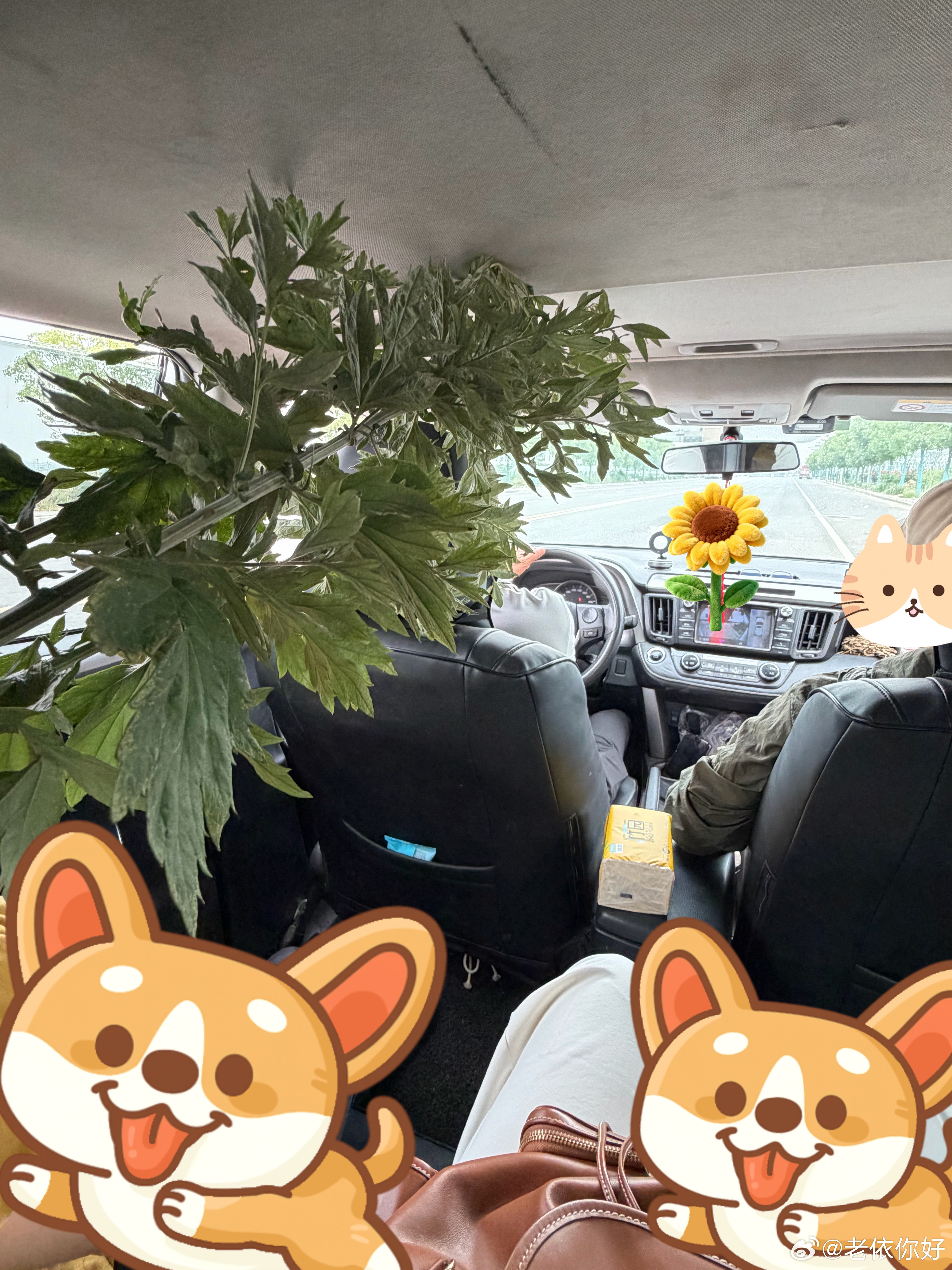 重生之——我在艾厂当苦力的第二天暗访想不到昨晚喝过的酒还作数（他们喝的我们没喝）