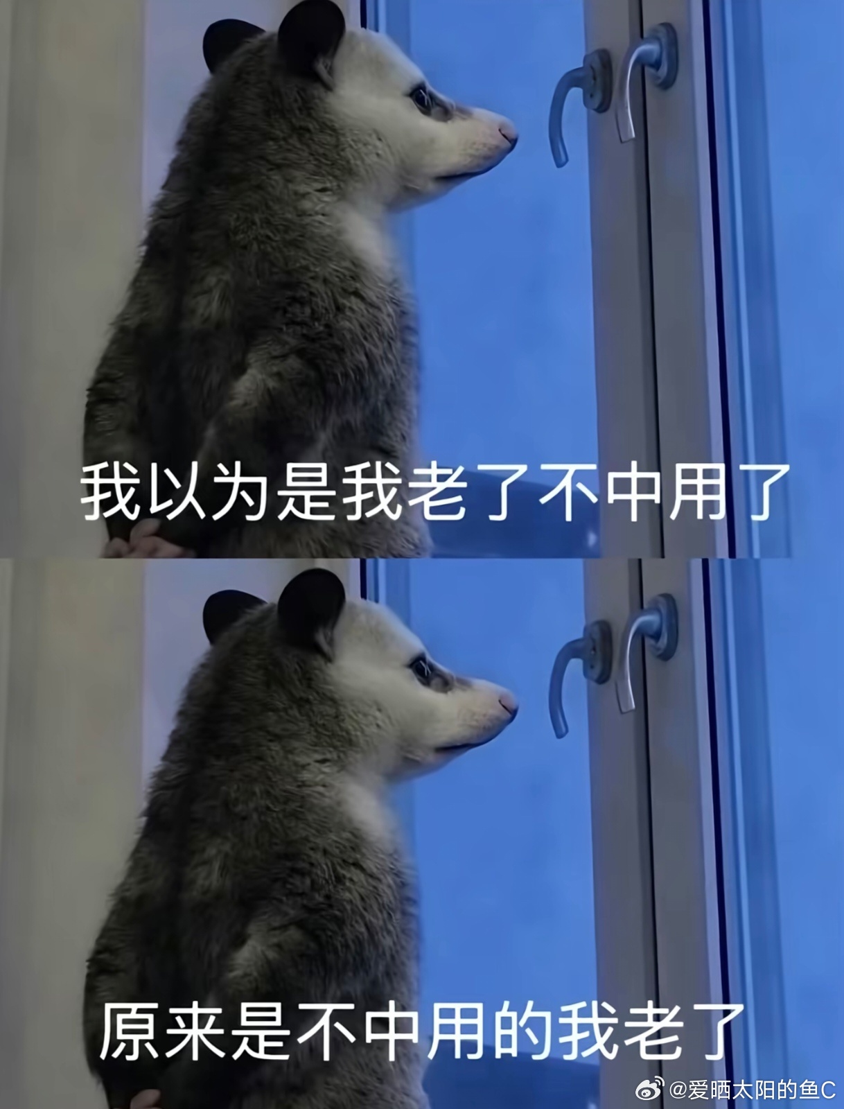 不要用豆包解决人际关系矛盾现在大家已经进化到这一步了吗，掉队了又没跟上 