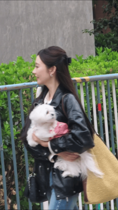 张艺凡上班带狗饭撒张艺凡今日上班路透来了，视频里有两个萌物，超可爱！句句有回应的