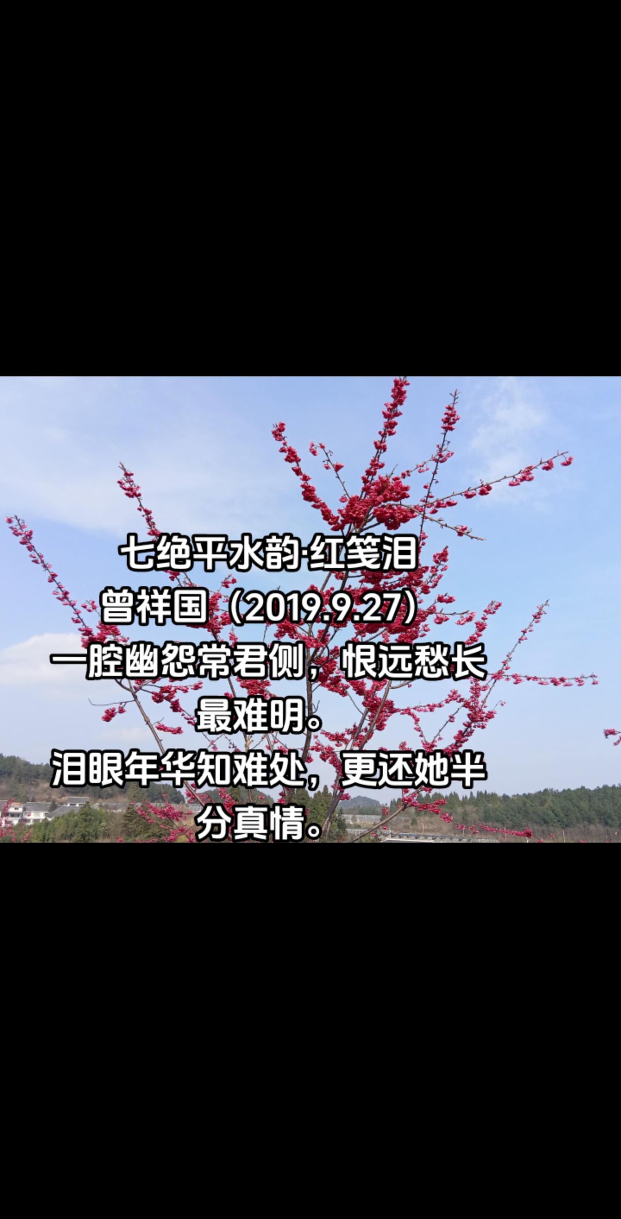 红笺泪