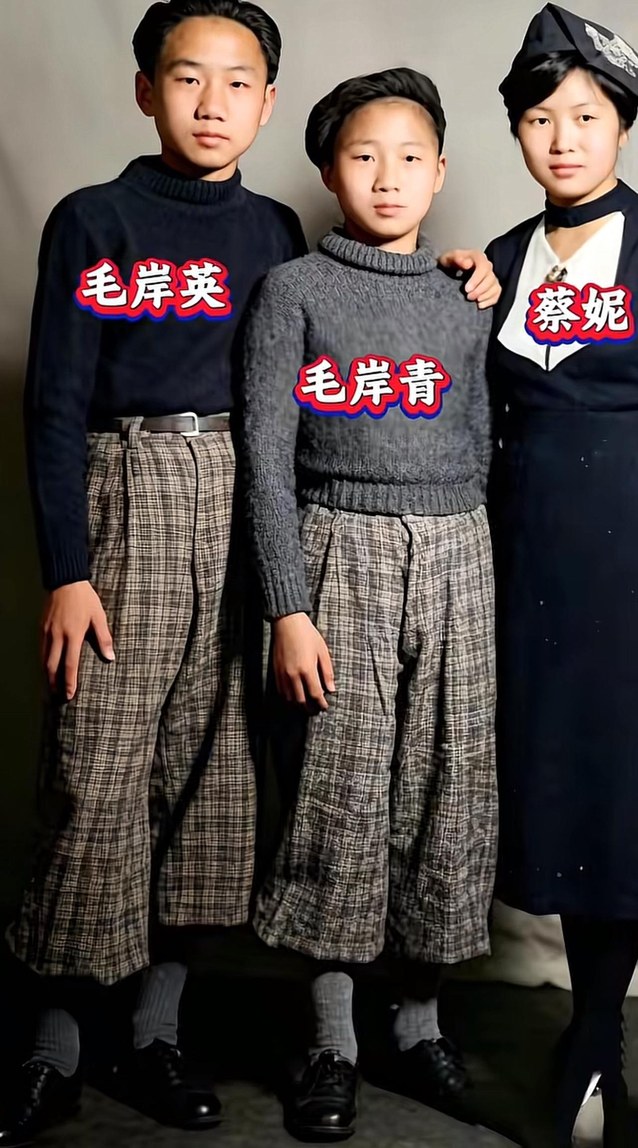 毛岸英、毛岸青兄弟1936年被党组织接到苏联，进入莫尼诺第二国际儿童院学习生活。