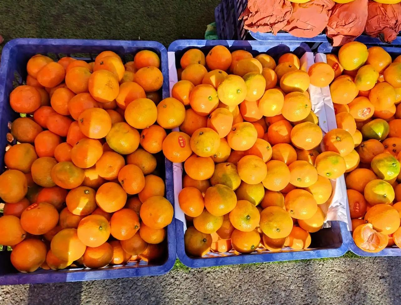 附近有两家超市，一大一小，相距只有几十米。其中大超市不仅面积大，货物陈列也井井有