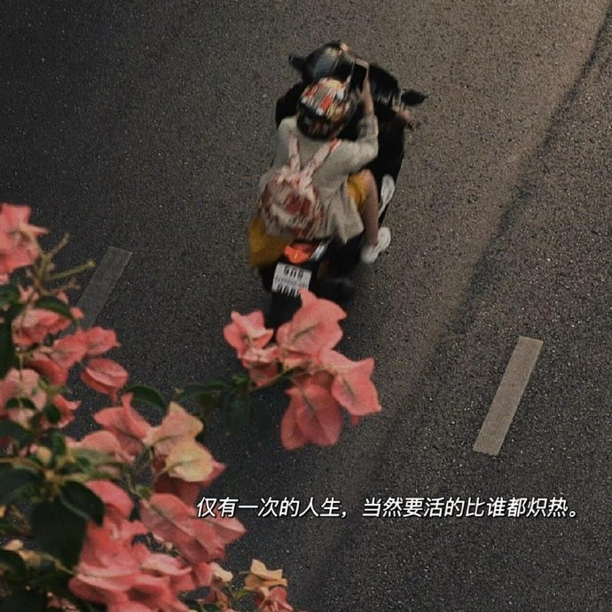 ✎.̶𝘀̶𝗼̶𝗺̶𝗲̶𝘁̶𝗵̶𝗶̶𝗻̶𝗴̶ ̶﹏̶“多夸别人，