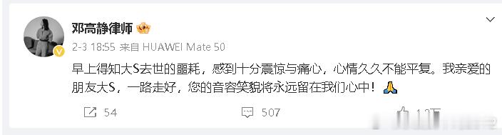 见过大S的人，没有不喜欢她，没有不说她好的。有人假惺惺地说：希望你们多说她的好话