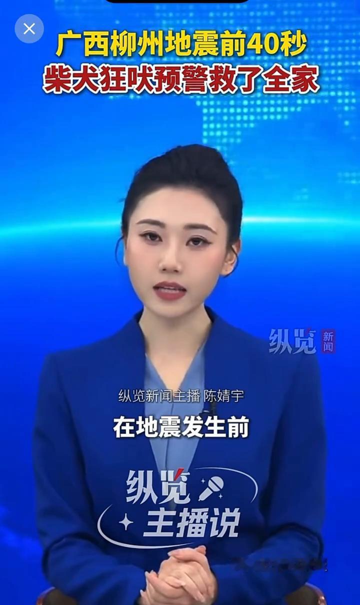 广西柳州地震前40秒，柴犬狂吠预警救了全家。
纵览新闻主播陈婧宇。
5月18日0
