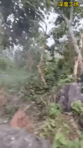 据称，电诈人员躲进草丛地洞里，果敢同盟军使用热像仪才发现他，举着手枪过去抓出来。