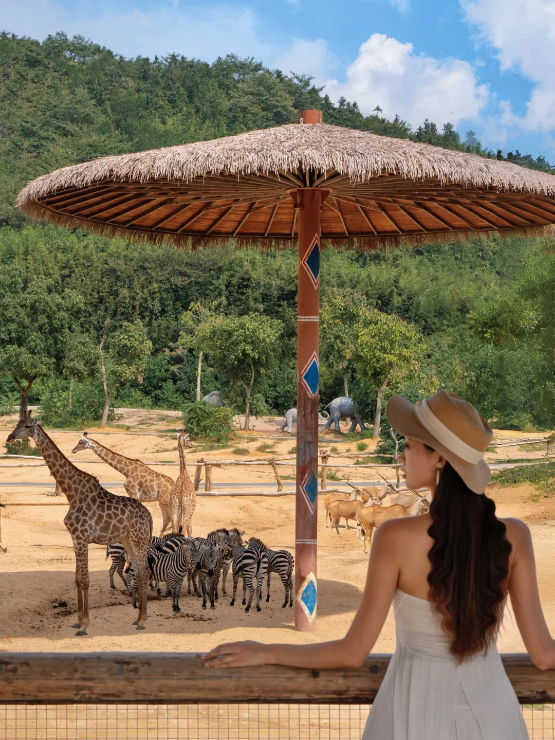 就在杭州‼️差点被长颈鹿吃了是一种什么体验