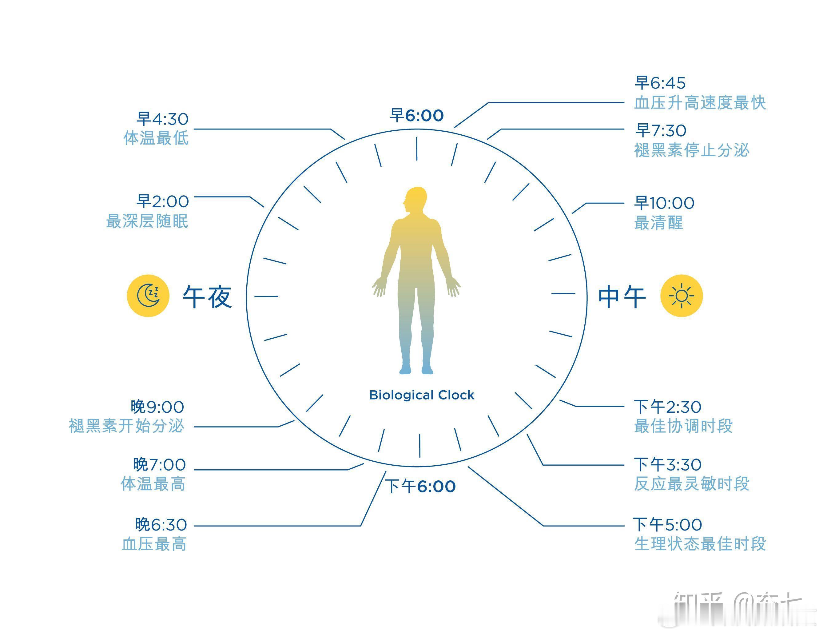 13点起床才是性价比最高的 五一假期最大的快乐是什么？不是出去挤景区，而是睡到自