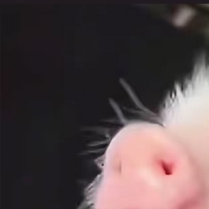 睡觉惹 ​​​