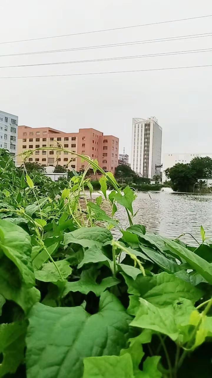 早啊早，早起的鸟儿有虫吃。