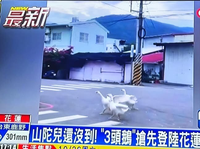 一個颱風的諧音梗[允悲] ​​​