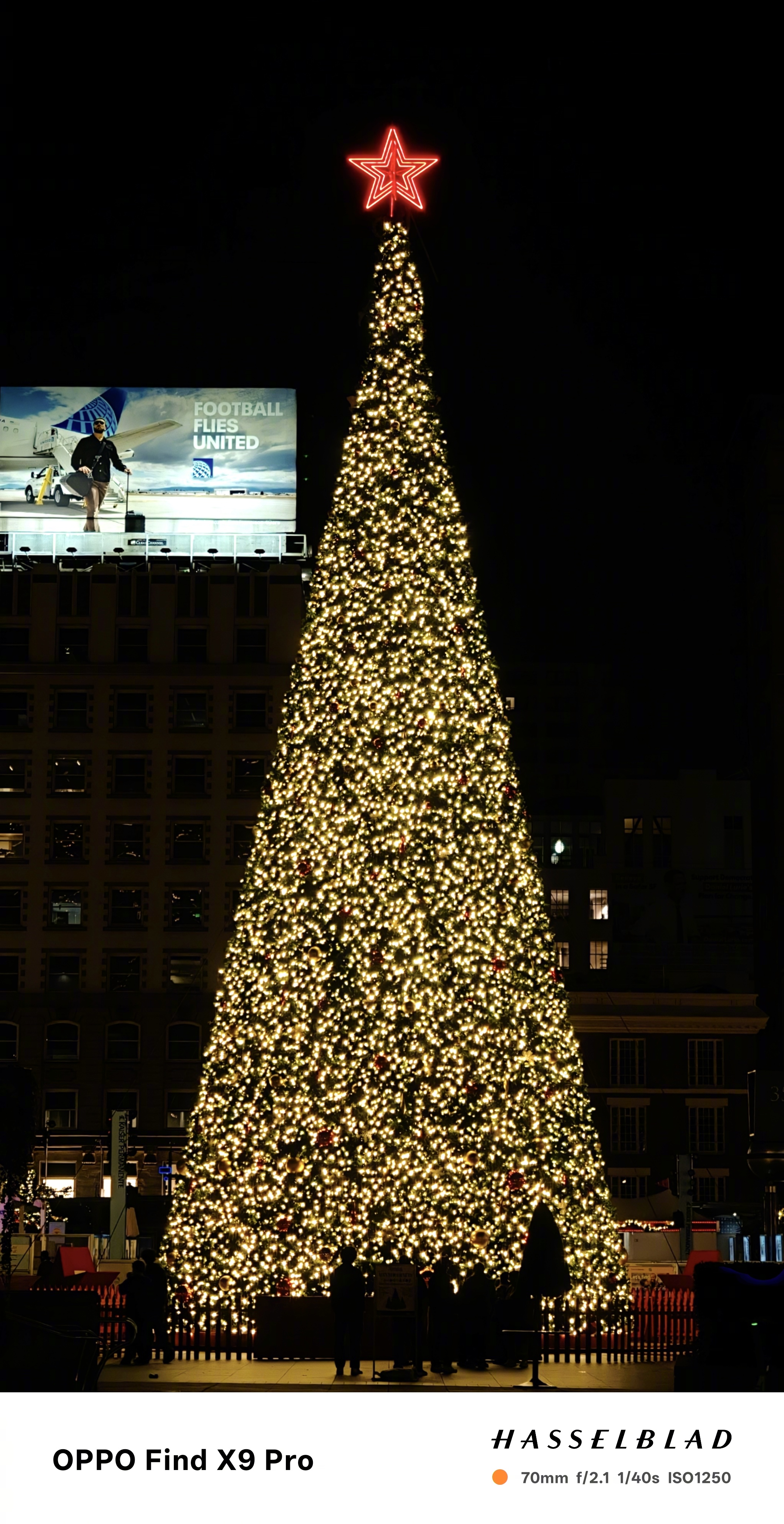 晚安，旧金山🎄  