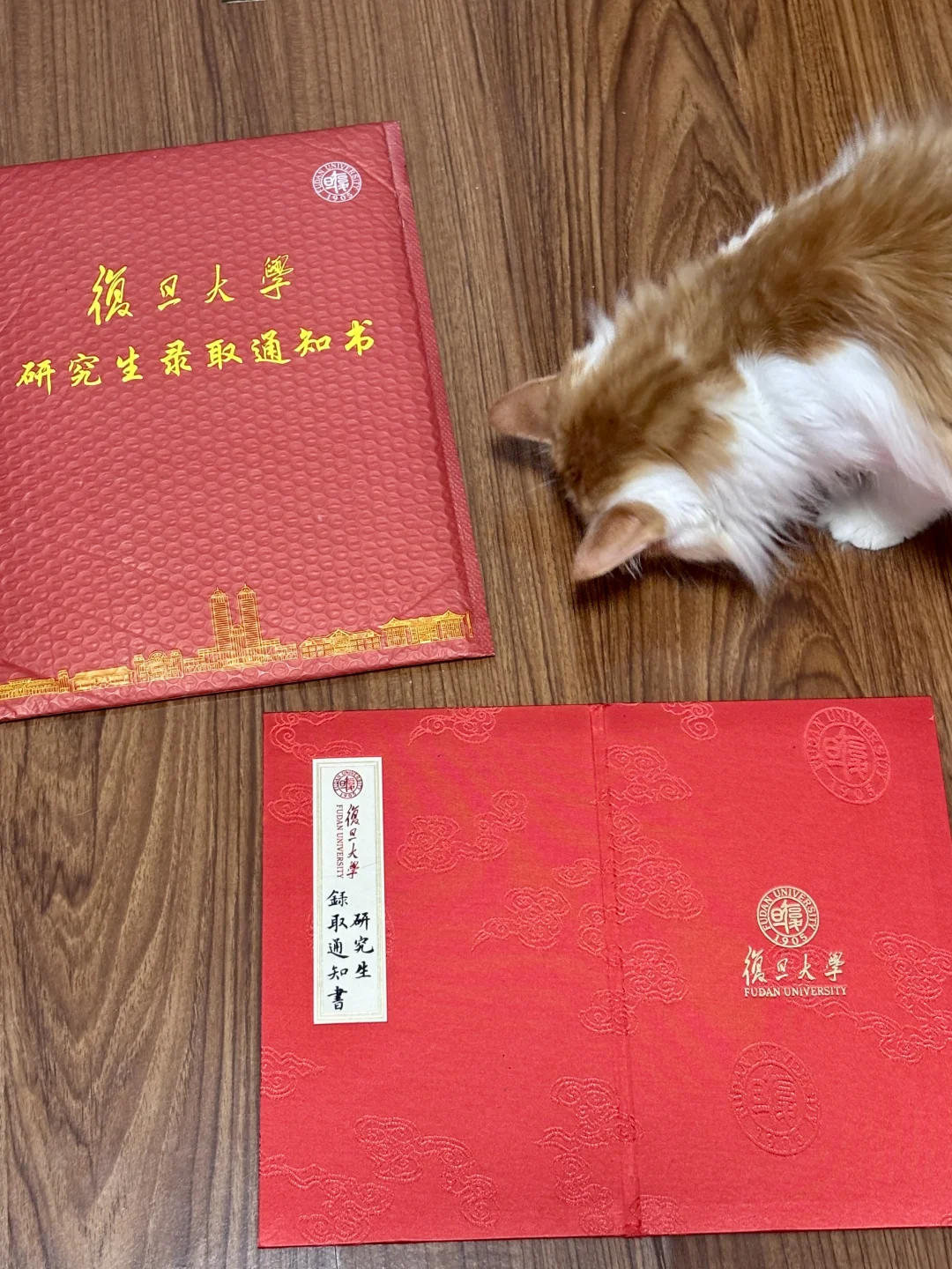 新买的猫抓板