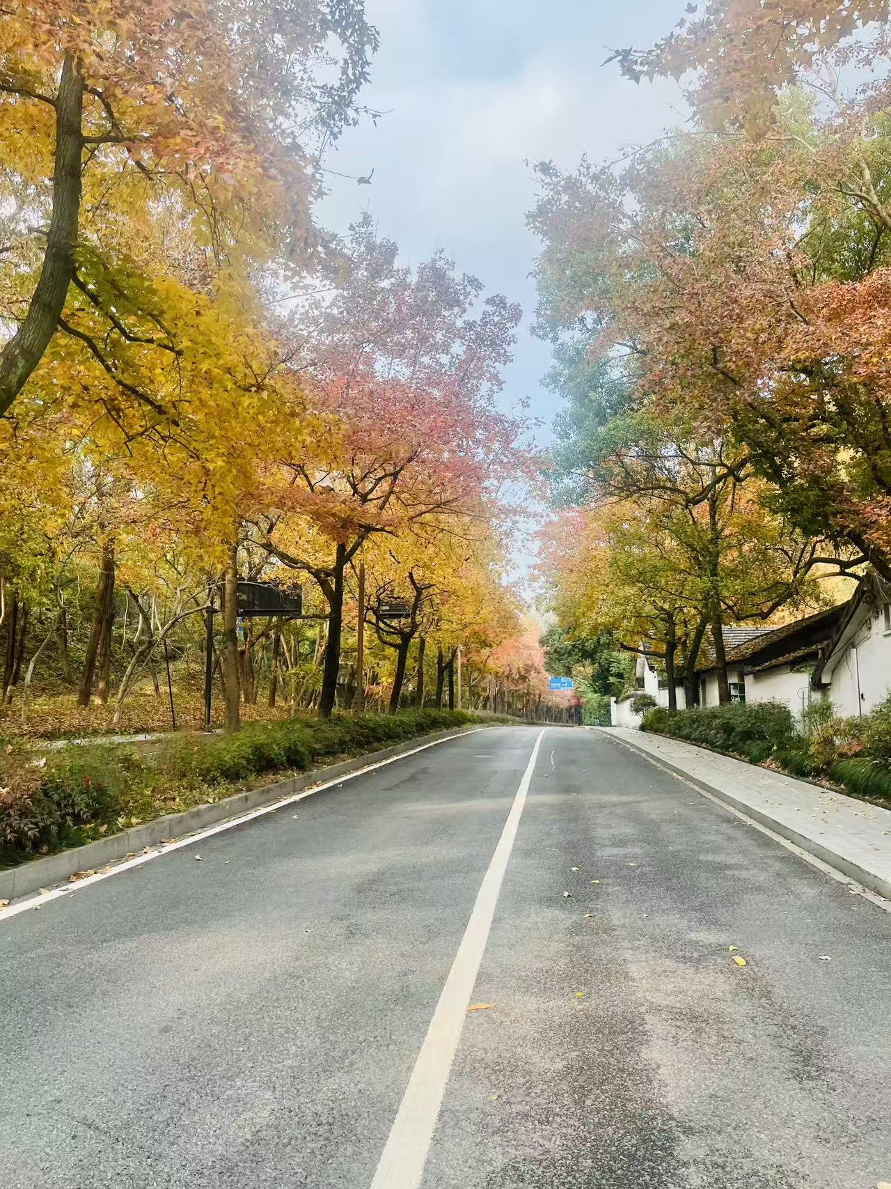 当同龄人还在为月考成绩发愁时，小陈的闹钟每天凌晨五点准时响起——不是赶早读，而是