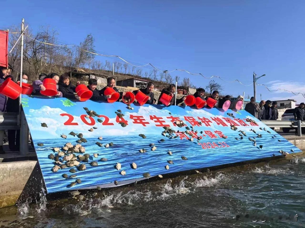 11月27日至29日，保定市在王快水库、西大洋水库开展水生生物增殖放流活动，放流