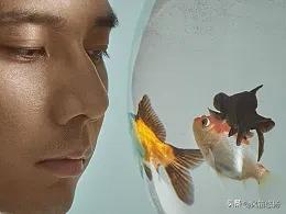 早上起床，站在鱼缸边上看鱼🐟
我在想：我在鱼缸外看鱼🐟，鱼缸里的鱼🐟何尝不